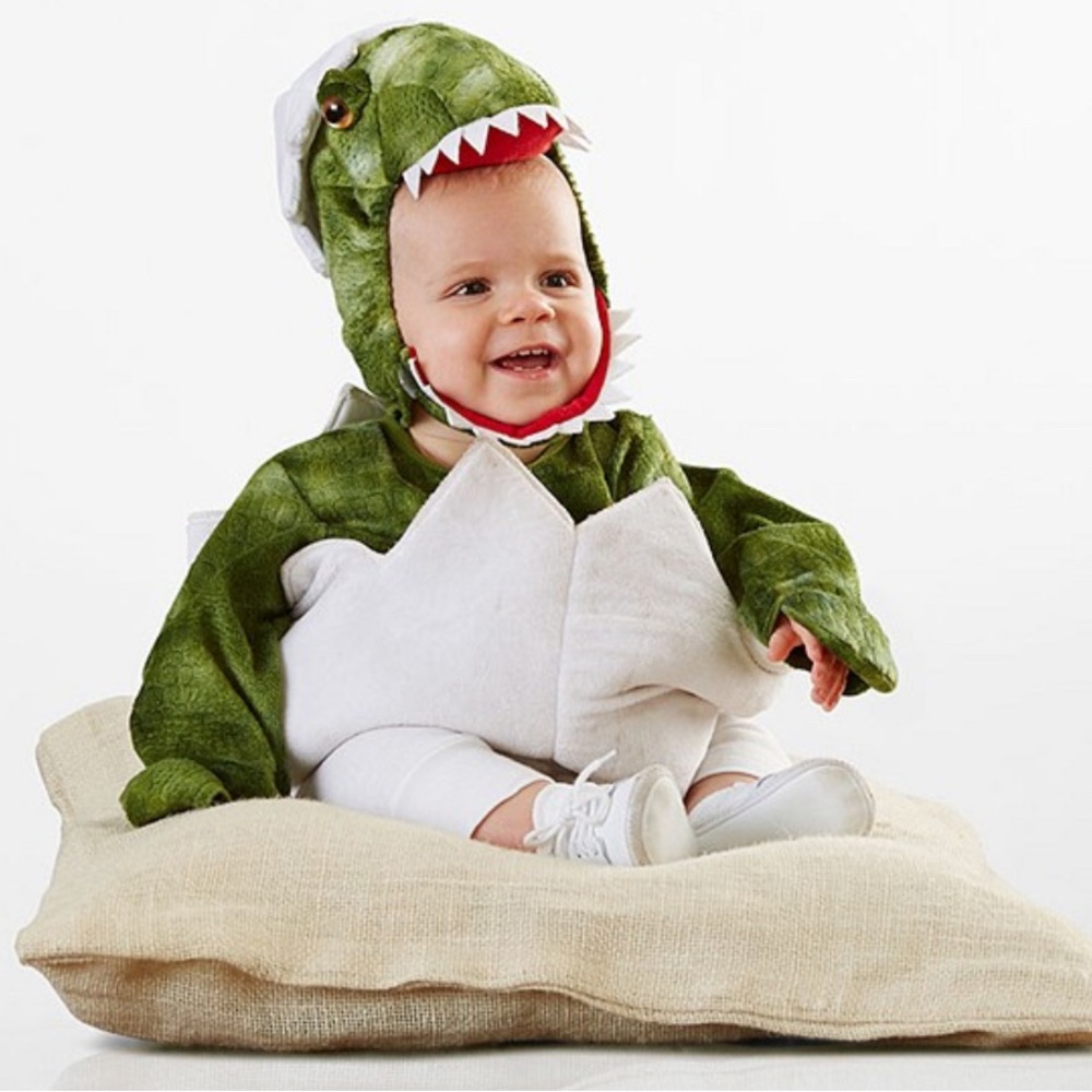 Baby dino egg costume 12-24 m